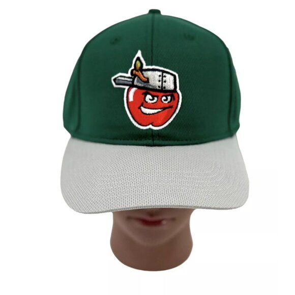 FORT WAYNE Tincaps Baseball Hat Cap Youth One Size Genuine Merchandise *SEE - Picture 1 of 7